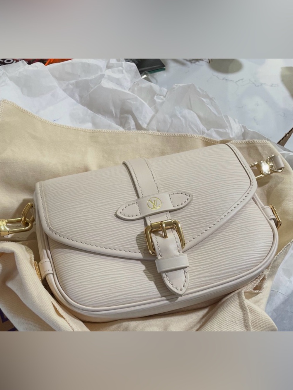 Louis Vuitton Saumur BB epi Leather quarts